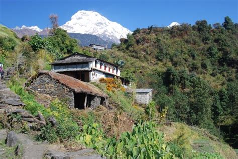 Pokhara - Ghandruk Trek