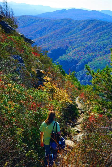 105 best NC Mountain Hikes and Hiking Trails images on Pinterest ...