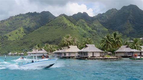 Moorea Island: Swimming with Sharks & Stingrays – Quest for 243