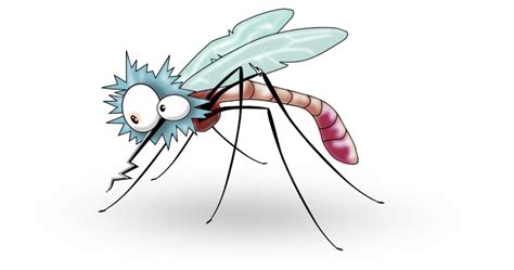 Mosquito cartoon | Images animaux | Pinterest | Cartoon, Public domain ...