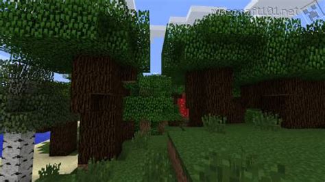 Dark Oak Wood Tree | Minecraft Network | FANDOM powered by Wikia