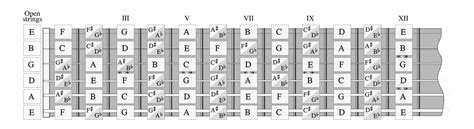 Fretboard note memorisation the easy way for guitar and bass. Bristol ...