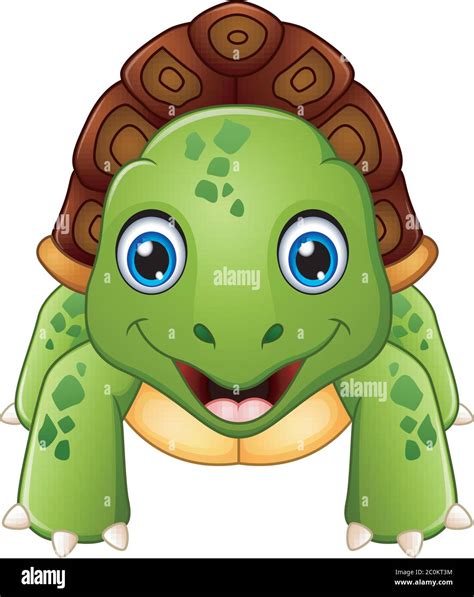 Funny cartoon turtle Stock Vector Image & Art - Alamy