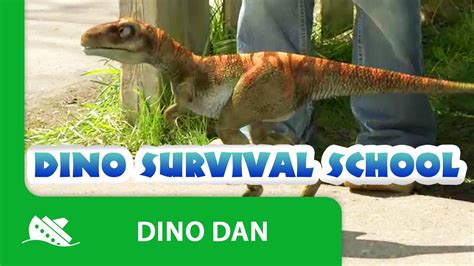 Dino Dan Baby