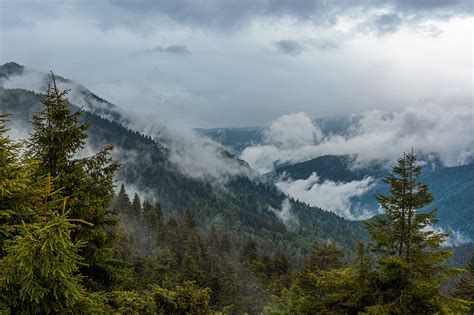 Carpathian mountains on Behance