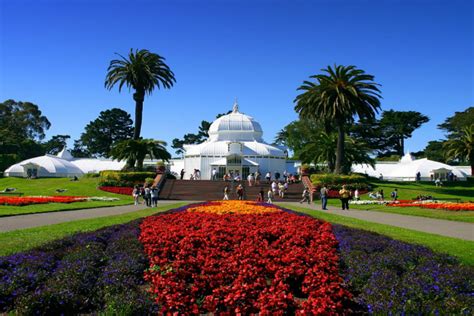 San Francisco Botanical Gardens Annual Plant Sale 2018