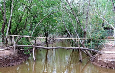 Bac Lieu Bird Sanctuary - Magnificent Nature Reserve