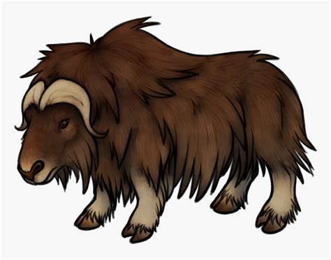 Musk Ox Drawing At Getdrawings - Musk Ox Transparent Background, HD Png ...