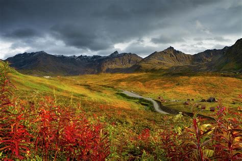 Alaskan Mountains And Tundra In Autumn Photograph by Adria Photography ...