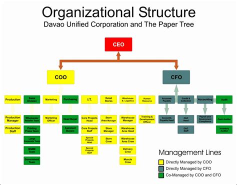 Corporate Hierarchy Chart Types of management organizational structure