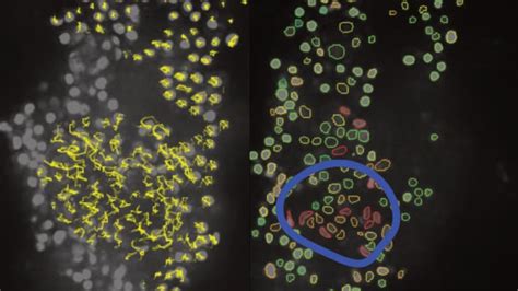 Condensed matter Archives – Physics World