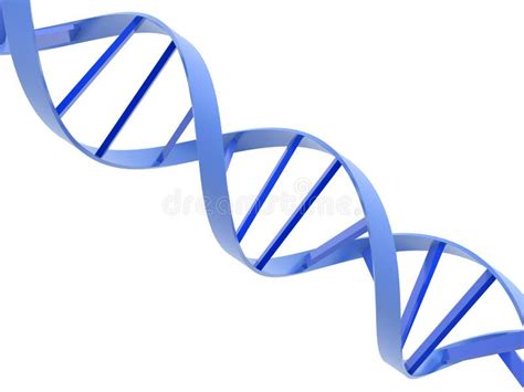 Dna helixes stock illustration. Illustration of biomedical - 8317377