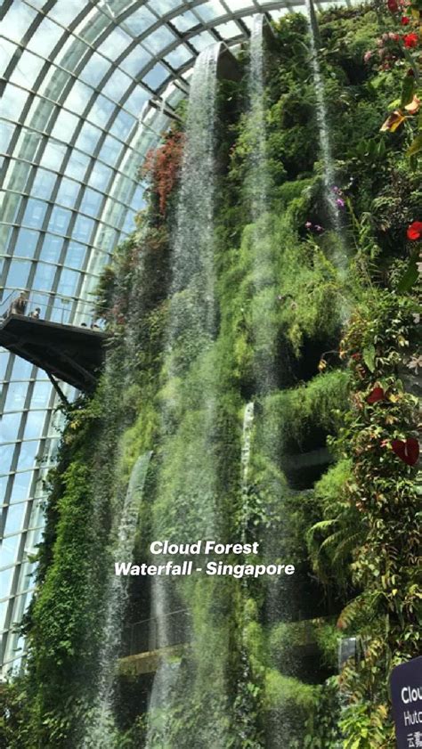 Cloud Forest Waterfall - Singapore | Arquitectura verde, Fuentes de ...