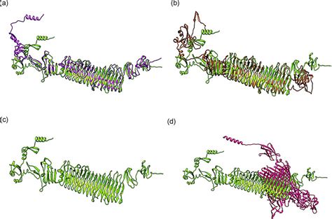 Virus discovery is new ammunition for tackling 'germ warfare' in humans