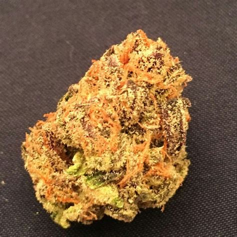 Dosidos aka Dosi, Do-Si-Dos Weed Strain Information | Leafly