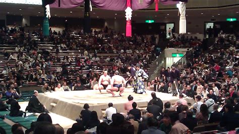 Tips for Watching Sumo in Japan - The Travel Sisters