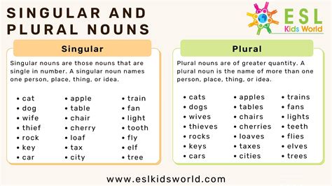 Practice Singular And Plural Nouns