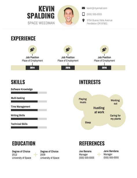 Infographic Resume Template Example