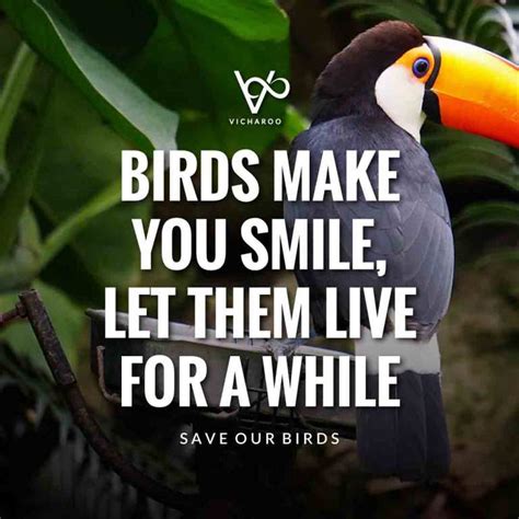 Save Birds | National Bird Day Archives - bestenglishquotes.Vicharoo.com