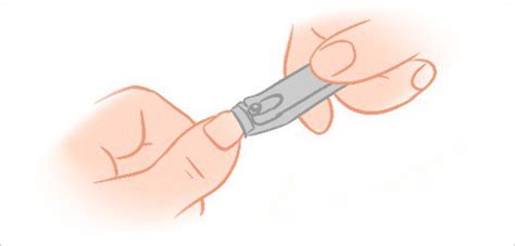 clipping nails clipart - Clip Art Library