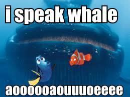 i speak whale | Finding dory, Animated movies, Family movies