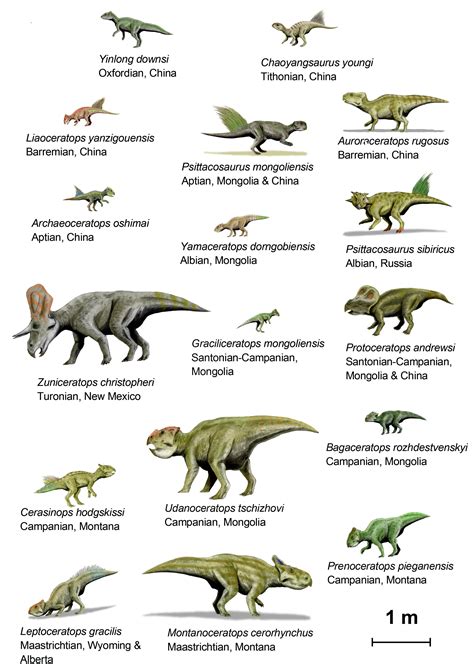 Different Types: Dinosaurs Different Types