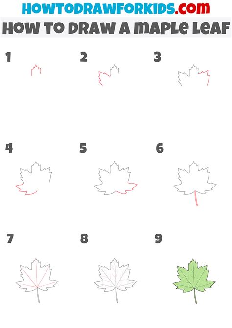 How to Draw a Maple Leaf - Easy Drawing Tutorial For Kids