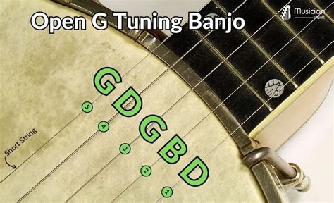 5 String Banjo Tuning: Standard and Alternate Tunings - Musician Vault