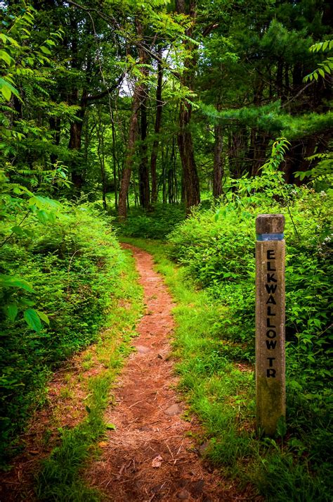 Shenandoah National Park Hikes To Best Experience the Park