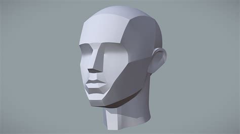 Basic Head Structure - Buy Royalty Free 3D model by Shape Foundations ...