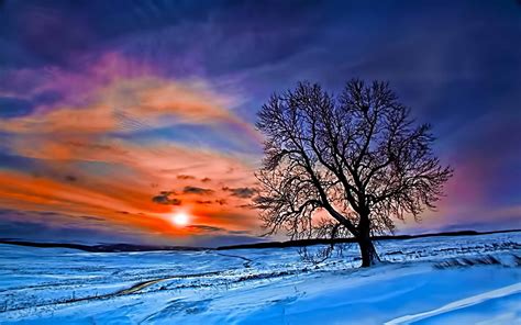 Winter Sunrise Nature Wallpapers - Top Free Winter Sunrise Nature ...