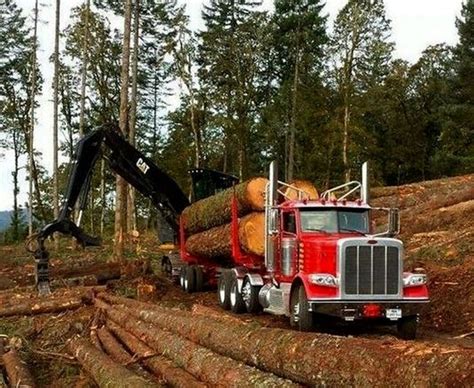 PETERBILT-389, Logging-Truck. | Logging trucks, Trucks, Peterbilt