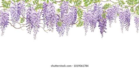 Wisteria Background Watercolor Paintinghand Drawn On Stock Illustration ...