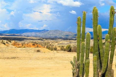 desierto, puesta de sol en el desierto, desierto de tatacoa, columbia ...