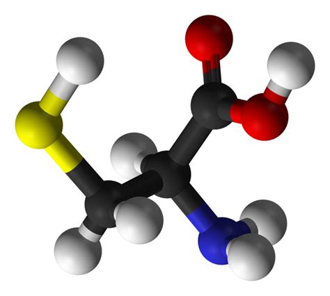 Difference Between Cystine and Cysteine | Properties, Formation, Source