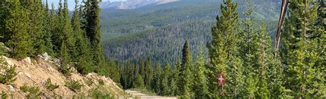 Mary Jane Ski Trail: 52 Reviews, Map - Colorado | AllTrails