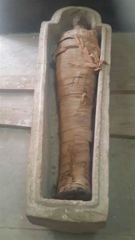 Archaeologists unearth linen-wrapped mummy in stone coffin in Aswan ...