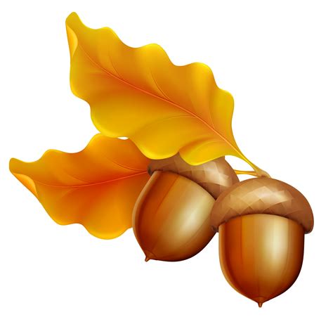 Acorn Leaf Oak Clip Art Transparent Background Fall Clip Art Hd Png ...