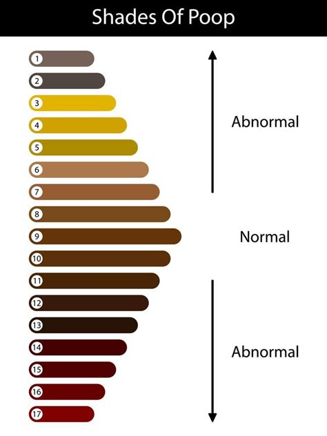 Shades color of poop. Human feces color. Healthy concept. Normal and ...