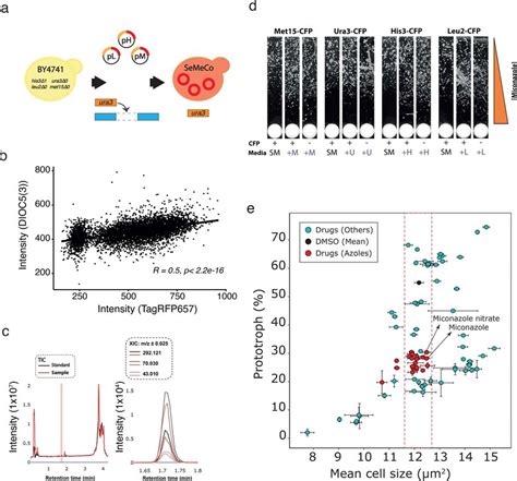 Auxotrophy correlates with DIOC5(3) export and azole tolerance ...