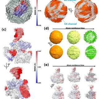 Molecular dynamics of apoferritin and archaeal RNAP. Apoferritin ...