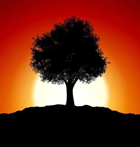 Sunset with Tree Silhouette Stock Illustration - Illustration of orange ...