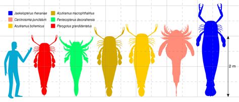 Devonian Earth: A World of Giant Sea Scorpions, Deadly Armored Fish ...