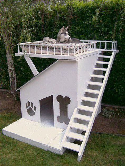 stylish-outdoor-dog-house-with-staircase