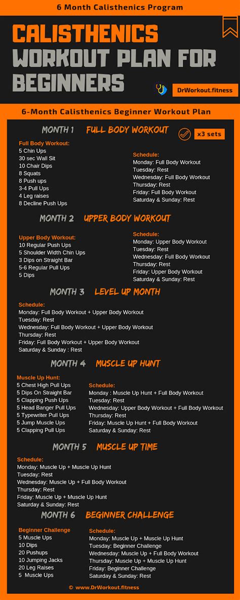 Calisthenics Workout Plan for Beginners | Workout plan for beginners ...