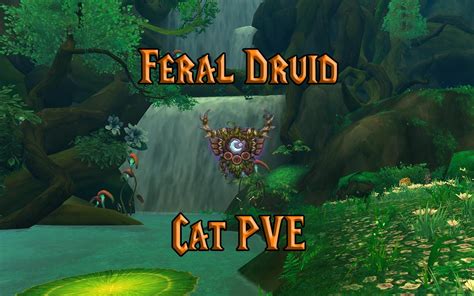 Feral druid guide