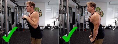 How To: Cable Triceps Pushdown | Muscular Strength