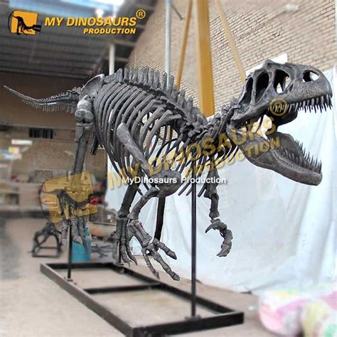 DS-193 Replica Allosaurus Skeleton for Sale | My Dinosaurs