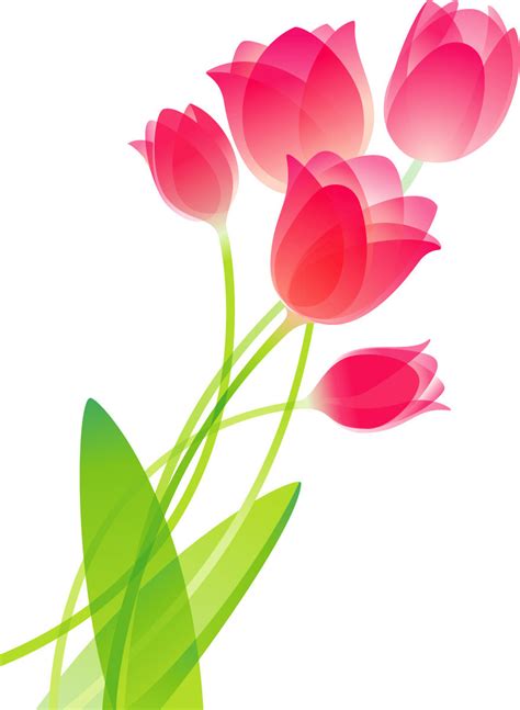 Tulip Flower Drawing at GetDrawings | Free download