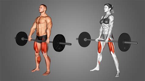 Sumo Deadlift vs Conventional: The Differences Explained - Inspire US